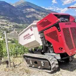 mini dumper professionale compatto radiocomandato in viticoltura