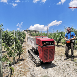 mini dumper professionale compatto radiocomandato in viticoltura