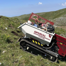 dumper radiocomandato