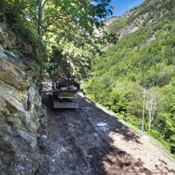 motocarriola cingolata